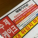 더밸런스코리아 | [카카오 선물하기 인기 디저트｜북해도스위트코리아 티라미수 케이크와 롤케이크 먹어본 후기]