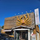 기장시장 일등대게 | 10년이 넘도록 다니는 부산 기장 킹크랩 추천 맛집 '일등대게' 다녀온 후기 내 돈 내산