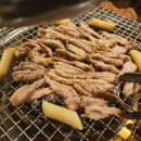 밤새우는닭 이미지