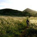 새별오름 이미지