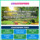 신안슈퍼 이미지