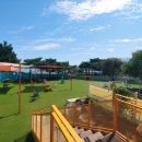 견생맛집 이미지