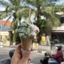 JL 헬스케어 | [250730-0731] 발리 한달살기, 최애 지역 사누르 1일~ 2일차 후기