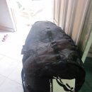 내리세탁소 이미지