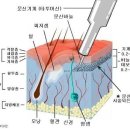 고창미용실 이미지