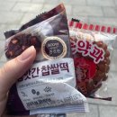 [8월 일상] 대무지개시대