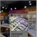 씨채널콘택트 이미지