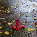 한영민박 이미지