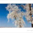 송화강 - 광산구 월곡중앙로54번길 16 | 송화강