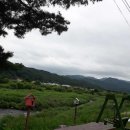 숲사잇길펜션 이미지