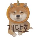 스시쿄다이 - 서귀포시 동홍남로 53 | 스시쿄다이