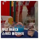 똥강아지 | [FOOD]부산 해운대 애견동반 카페 스위티 똥강아지 아이스크림 후기