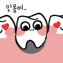 정성플러스치과