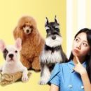 24시동물병원 이미지