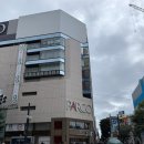 초예유치원 | 백화점, 쇼핑리스트, 다이마루백화점 포켓몬센터, 삿포로 한정판 과자, 블루폰드, 스노우치즈 쇼핑 후기