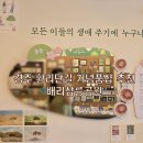 경주 기념품은 여기 황리단길 소품샵 배리삼릉공원 방문 후기