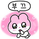 박하제주 이미지