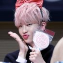 예쁜댕 이미지