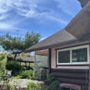 토담촌 | 토담촌 청주 내수읍 능이오리백숙 뜨끈하게 몸보신