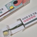 펫나라 | 치석 예방은 습관부터, 하하펫 칫솔 사용 후기