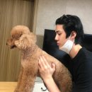 잘생김 카카오 검색결과