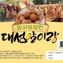 태안양계장 이미지