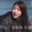 카드킹덤 이미지