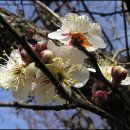 더 가덕 이미지