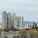 핫구
