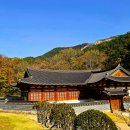 신흥사 - 중구 | 신흥사