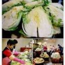 L할인마트(곽정호) | 김장철 대비! 2025 마트 절임배추 할인 정보