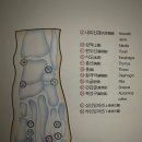 발건강관리족심도 이미지