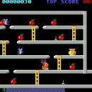 너구리pc 이미지