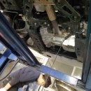 골드카모터스 이미지