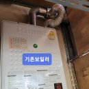 교방동165 이미지