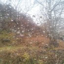 명호면 보건지소 이미지