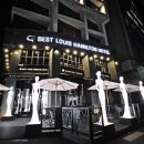 베스트루이스해밀턴호텔 이미지