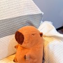 포시즌 | 선릉왁싱 포시즌왁싱 강남본점 직장인후기