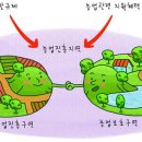 진흥농장2 이미지