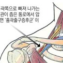 강남연세신통의원 이미지