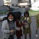 영월초등학교 이미지