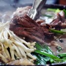 코리안덕 이미지