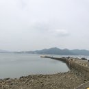 돌고래좌대낚시터 이미지