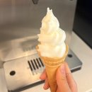 [청주/동남지구] 청주맛집_퐁당샤브 동남지구점 후기