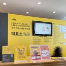 나우앤퓨처 | 미키마우스 전시 [미키마우스 나우앤퓨처] 관람후기