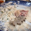 산오징어 - 서구 북비산로 236 | 산오징어
