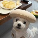 뭉짱