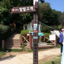 10/26 무학산둘레길 & 가고파국화축제 이미지