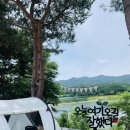 화천가볼만한곳 프라이빗캠핑 #프루떼 #아스파라거스자연체험