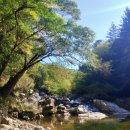 포대지입구 이미지